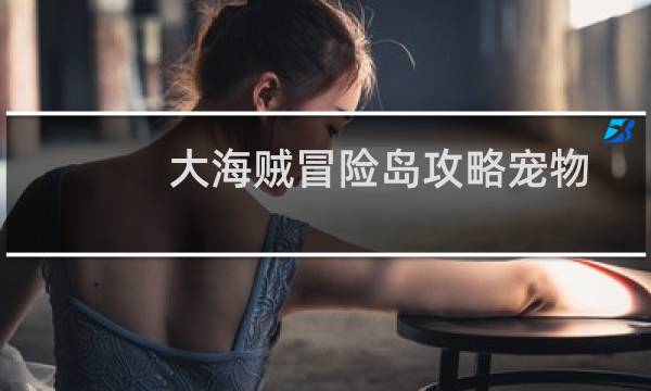 大海贼冒险岛攻略宠物