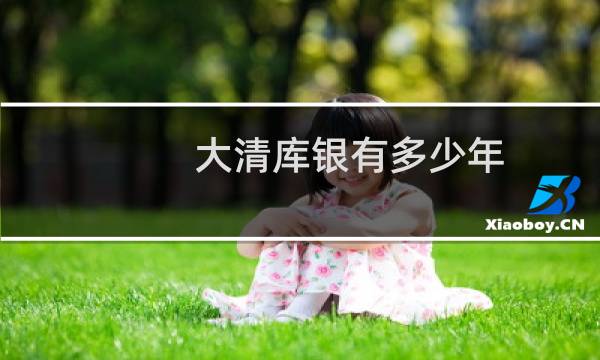 大清库银有多少年