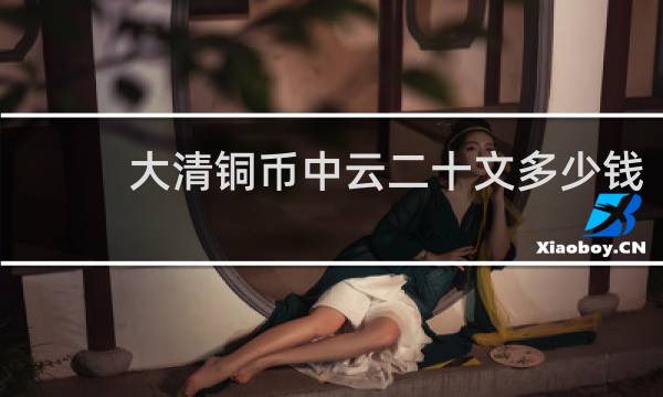 大清铜币中云二十文多少钱