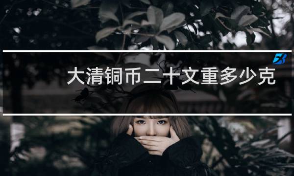 大清铜币二十文重多少克