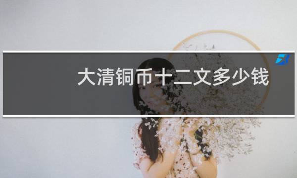 大清铜币十二文多少钱