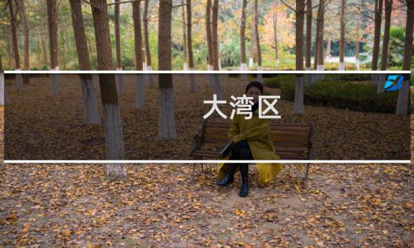 大湾区 旅游