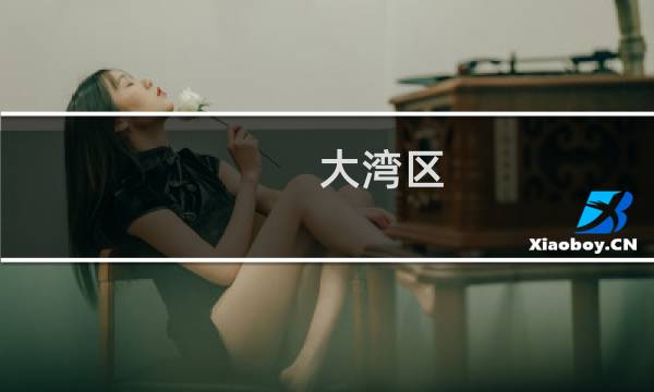 大湾区 经济