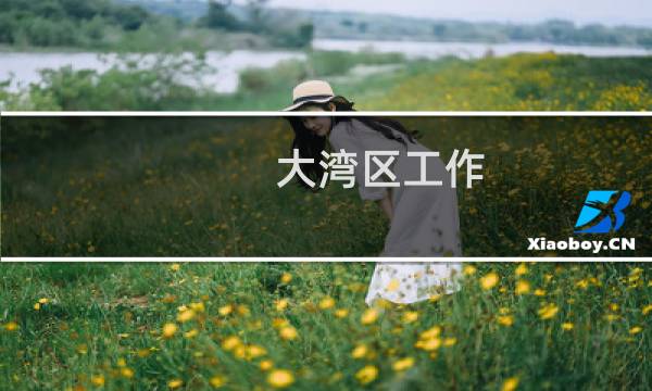 大湾区工作