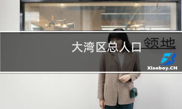 大湾区总人口