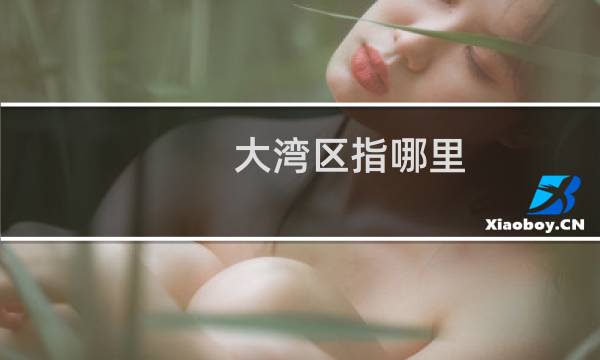 大湾区指哪里