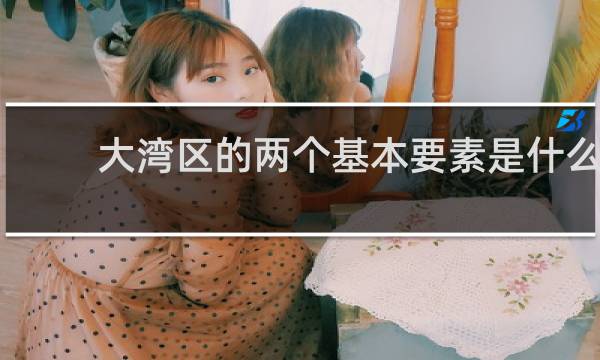 大湾区的两个基本要素是什么
