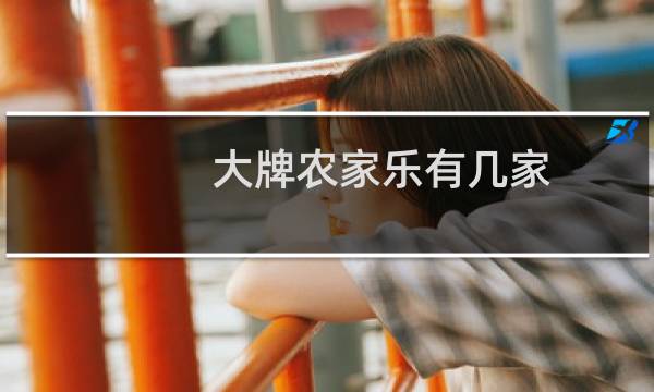 大牌农家乐有几家