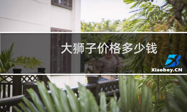 大狮子价格多少钱