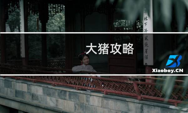 大猪攻略