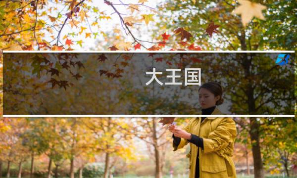 大王国 攻略视频攻略