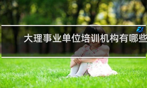 大理事业单位培训机构有哪些