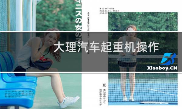 大理汽车起重机操作