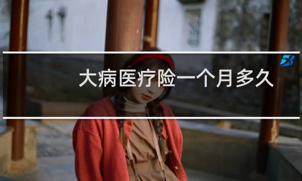 大病医疗险一个月多久