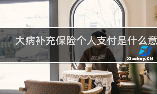 大病补充保险个人支付是什么意思