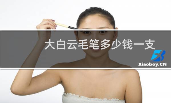 大白云毛笔多少钱一支