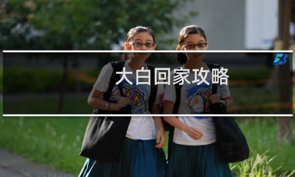 大白回家攻略