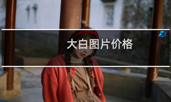 大白图片价格