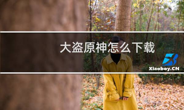 大盗原神怎么下载