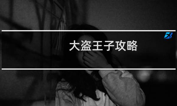 大盗王子攻略