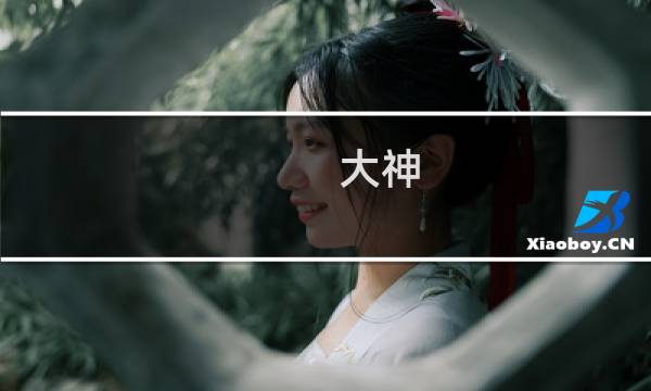 大神 攻略 月亮