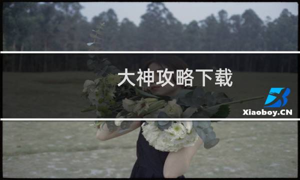 大神攻略下載