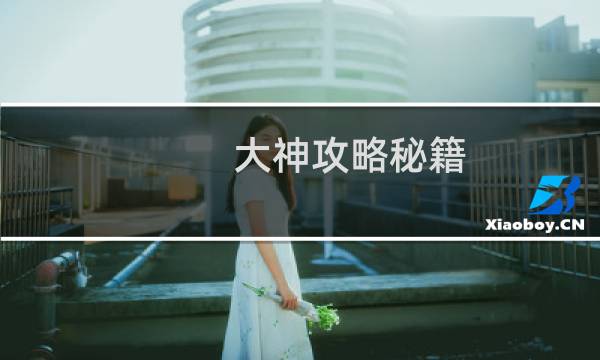 大神攻略秘籍