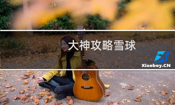 大神攻略雪球