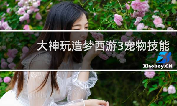 大神玩造梦西游3宠物技能