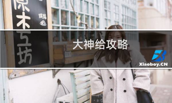大神给攻略