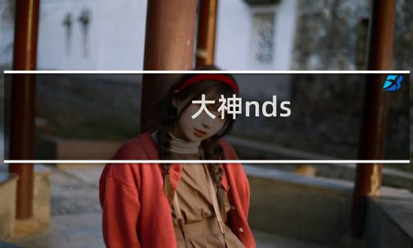 大神nds 攻略