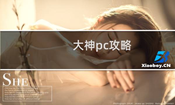 大神pc攻略
