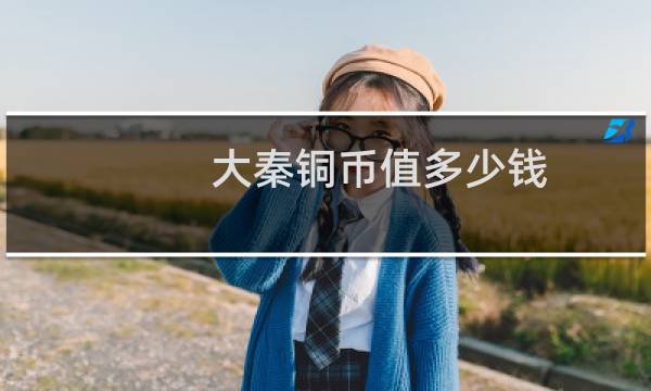 大秦铜币值多少钱