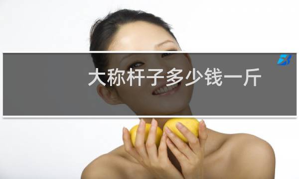 大称杆子多少钱一斤