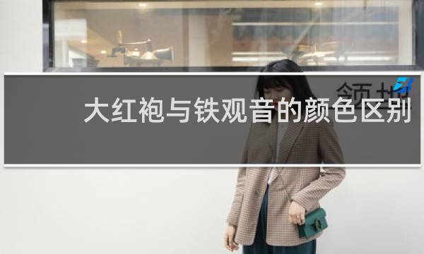 大红袍与铁观音的颜色区别