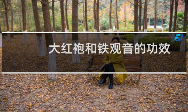 大红袍和铁观音的功效