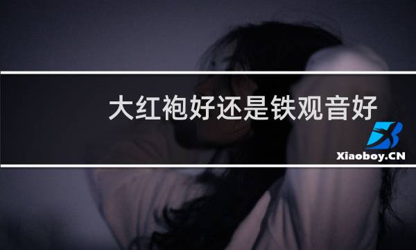 大红袍好还是铁观音好