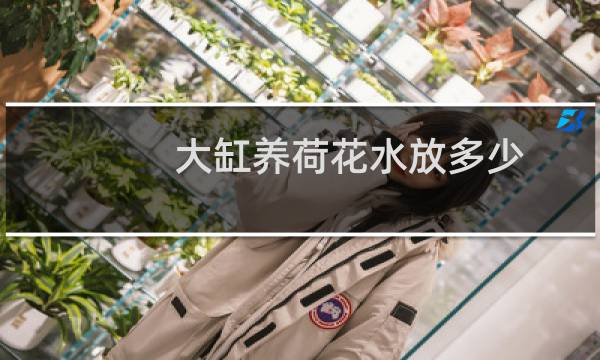 大缸养荷花水放多少