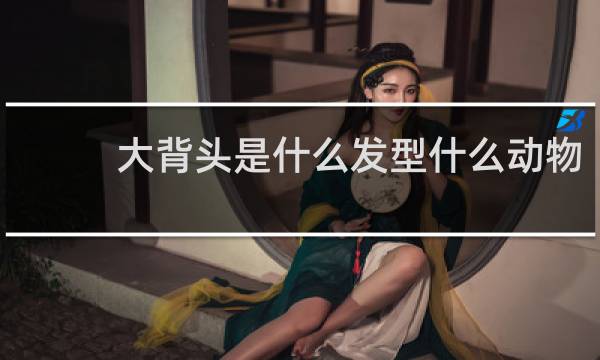 大背头是什么发型什么动物