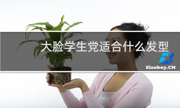 大脸学生党适合什么发型