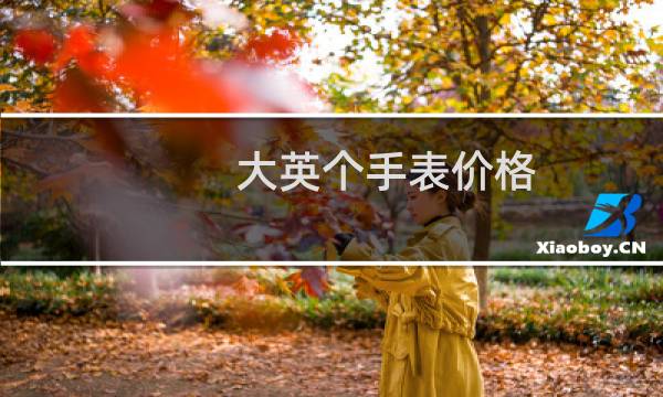 大英个手表价格