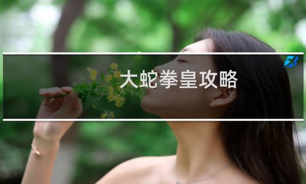 大蛇拳皇攻略