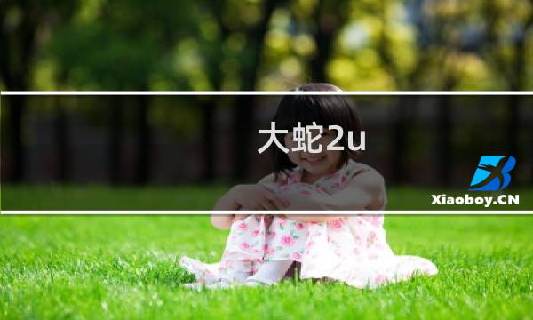 大蛇2u 攻略