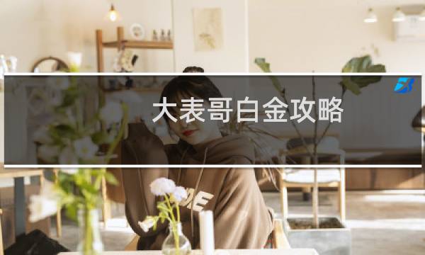大表哥白金攻略