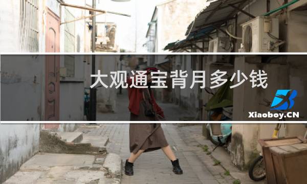 大观通宝背月多少钱