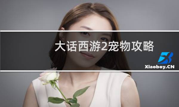 大话西游2宠物攻略