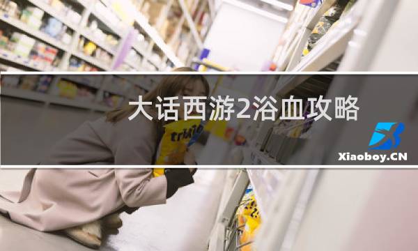 大话西游2浴血攻略