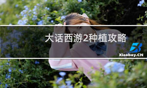 大话西游2种植攻略