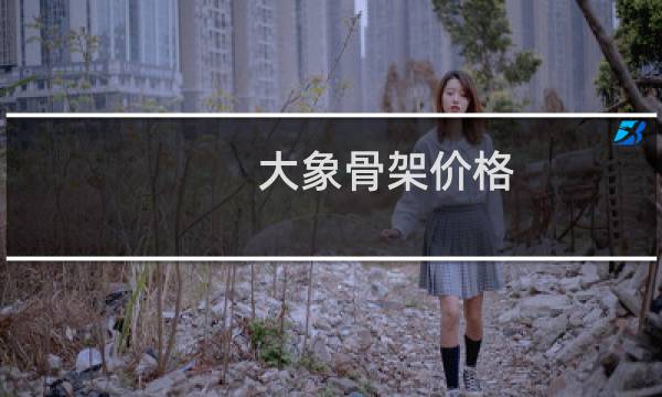 大象骨架价格