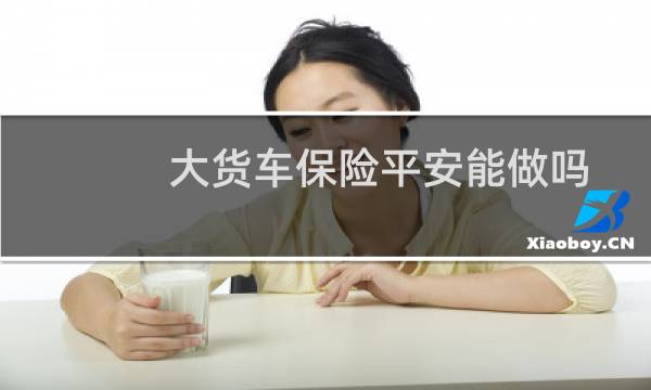 大货车保险平安能做吗